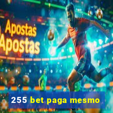 255 bet paga mesmo